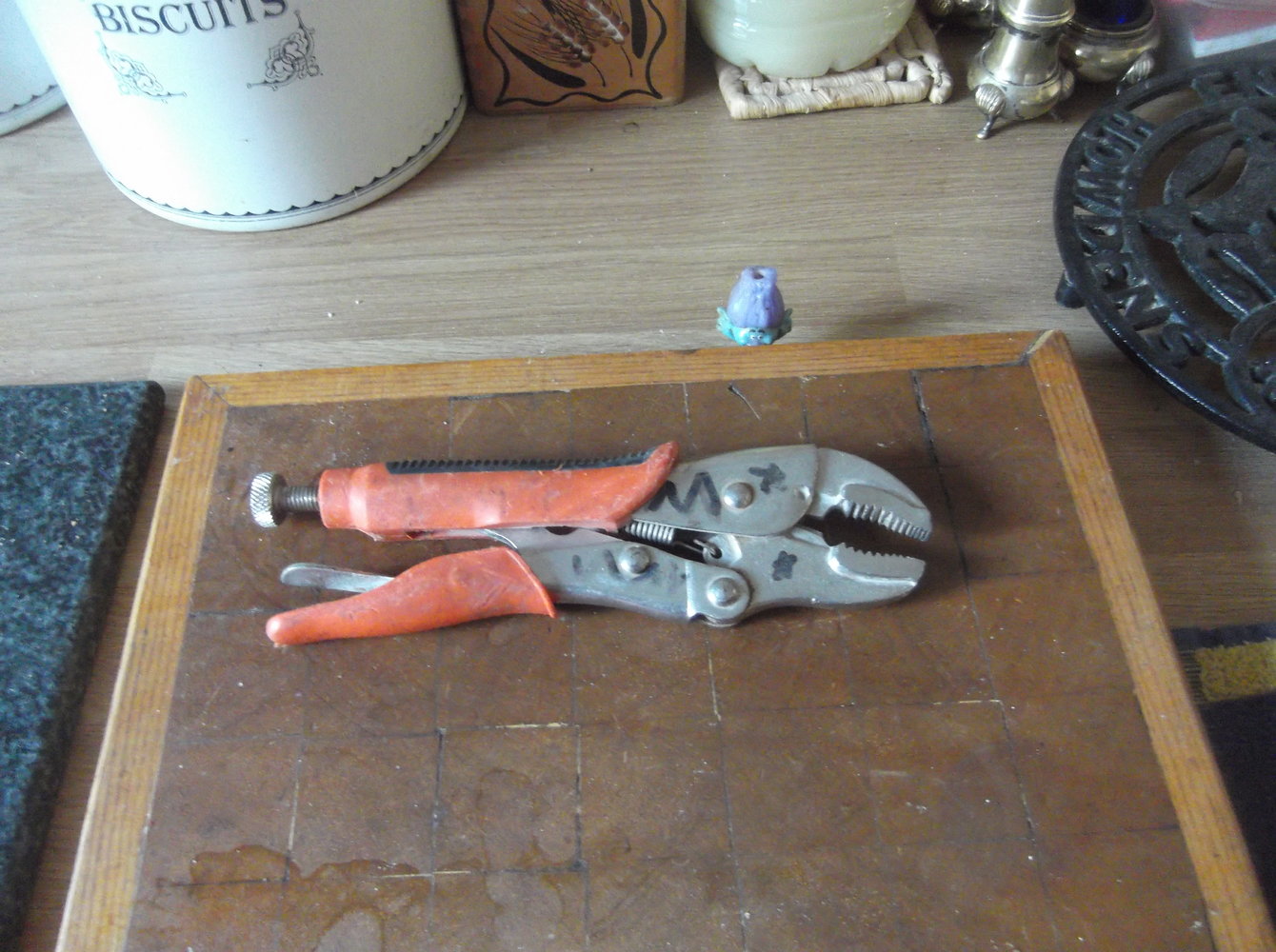 DSCF3436.JPG