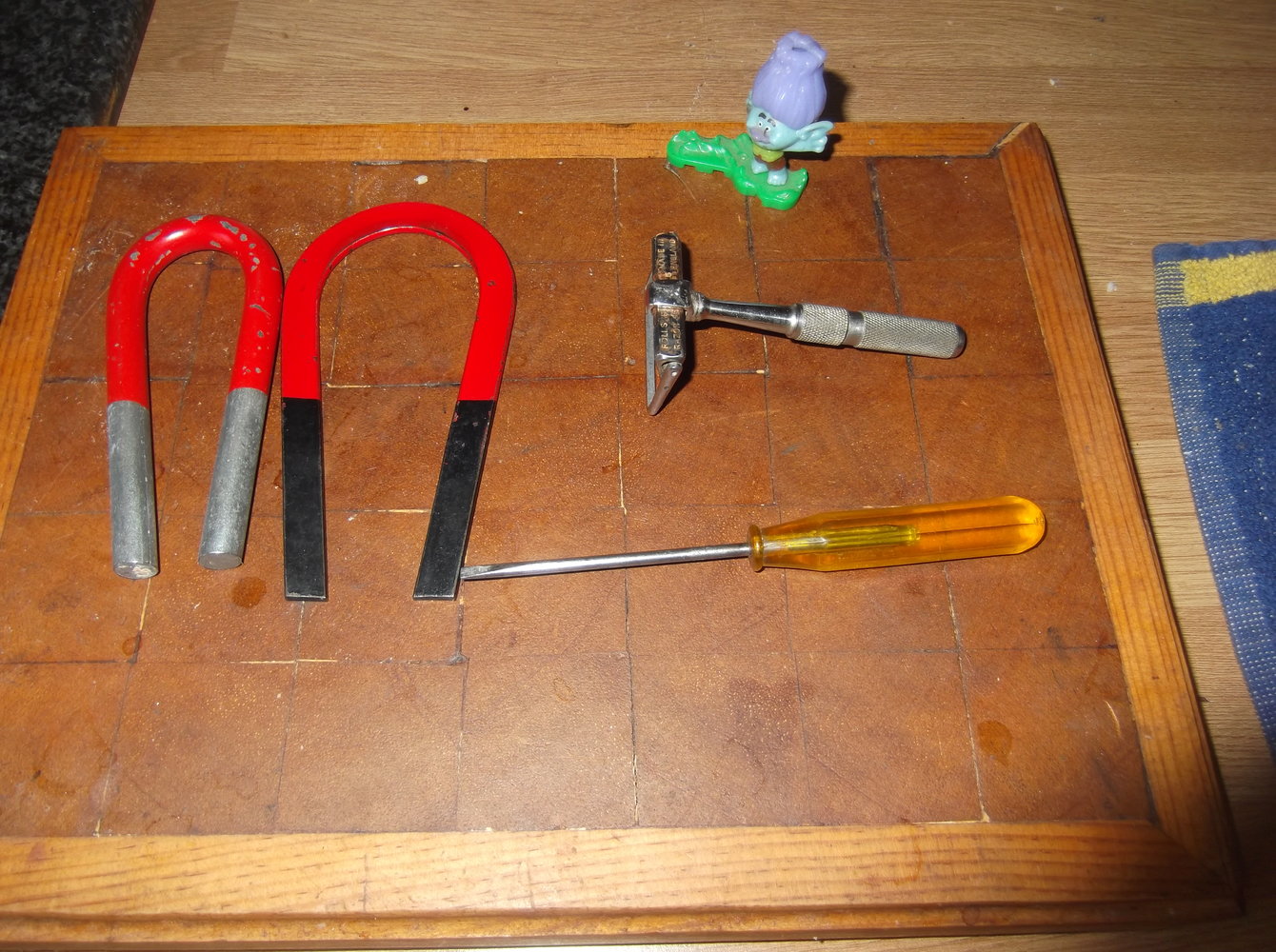DSCF4230.JPG