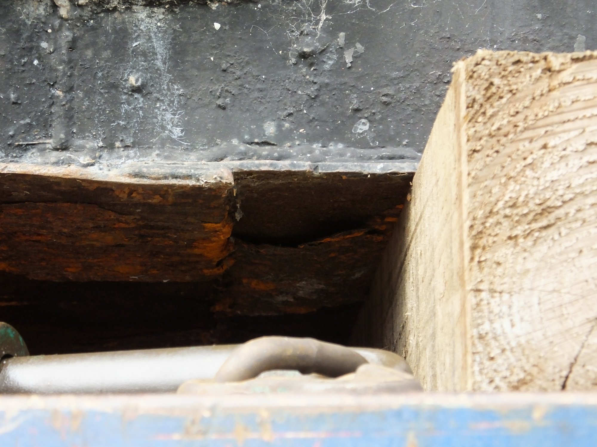 DSCF5325.jpg