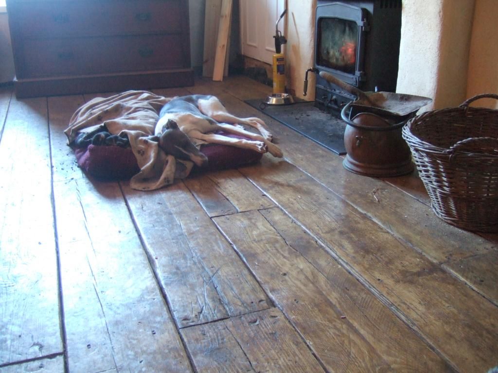 DSCF7582_zps33d2eb1e (1).jpg