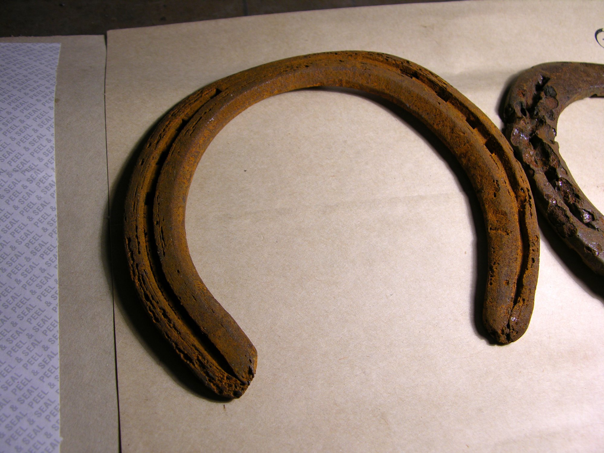 DSCN0460.JPG
