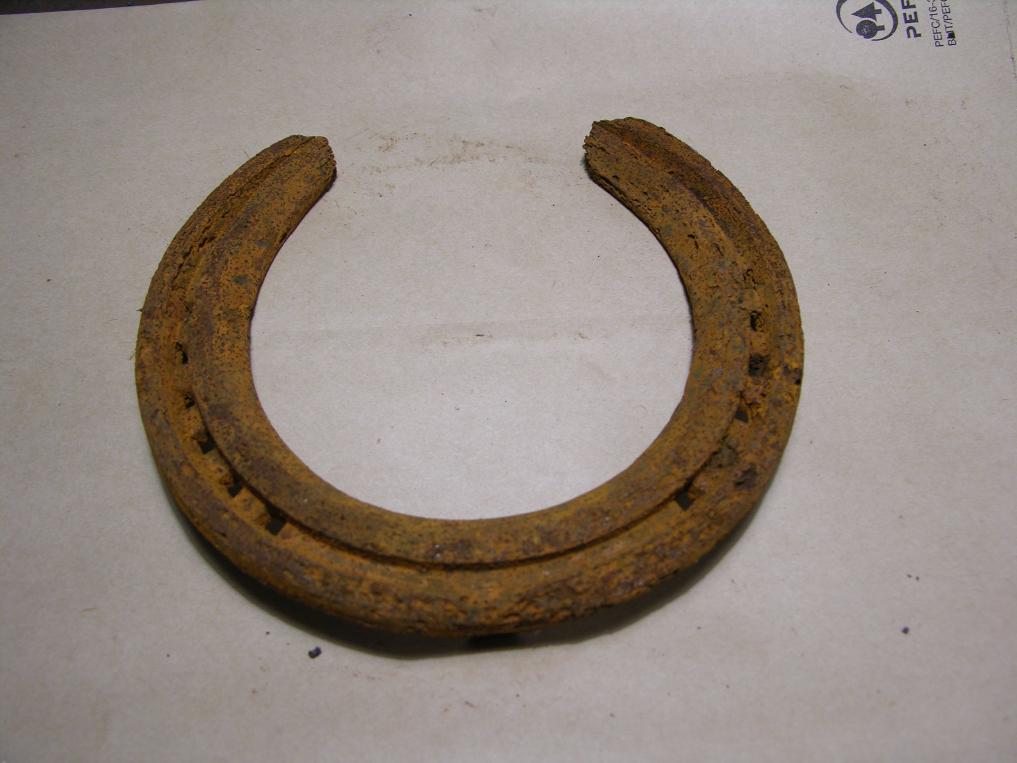 DSCN0464.JPG