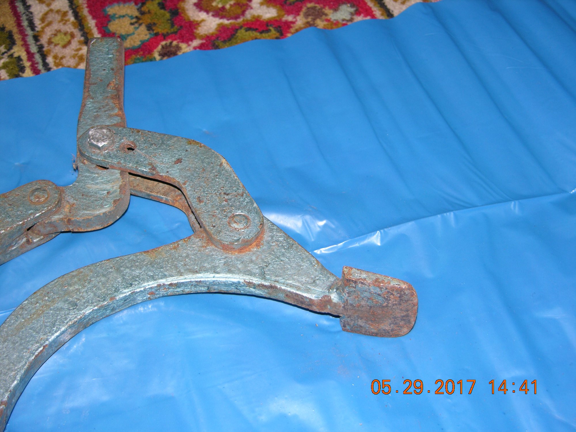 DSCN0516.JPG