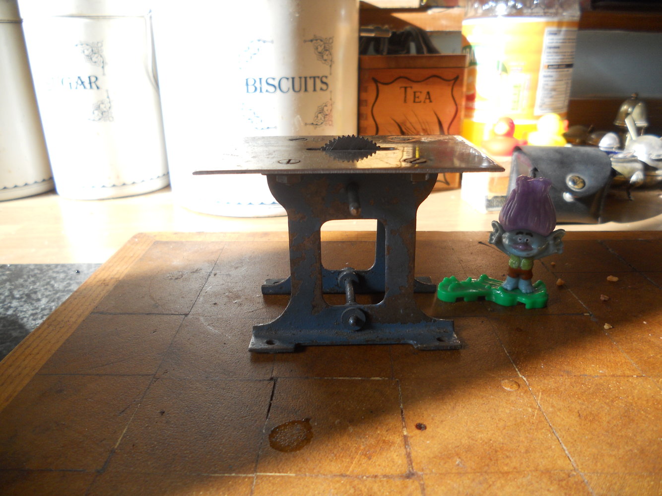 DSCN0533.JPG