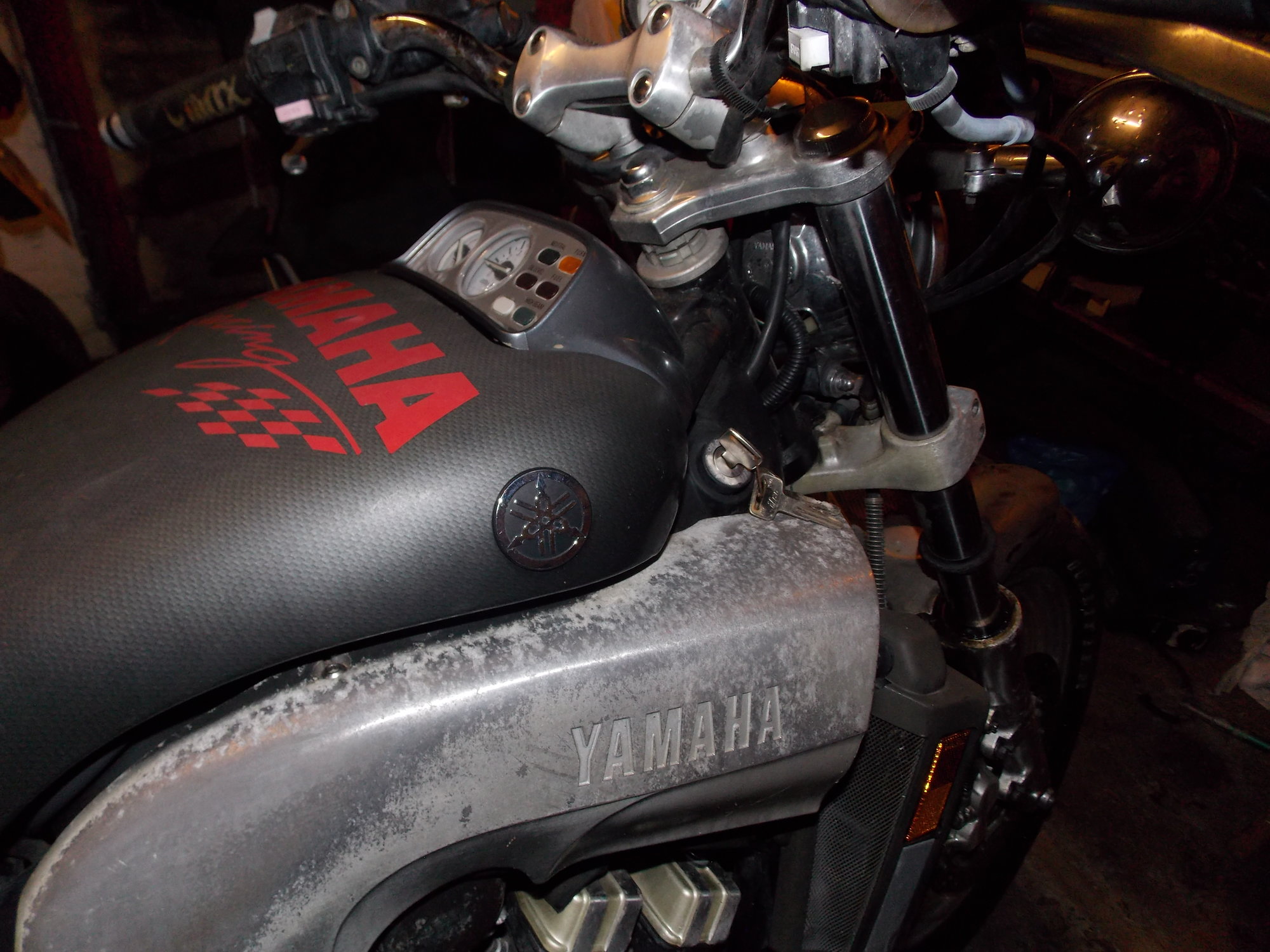DSCN0779.JPG