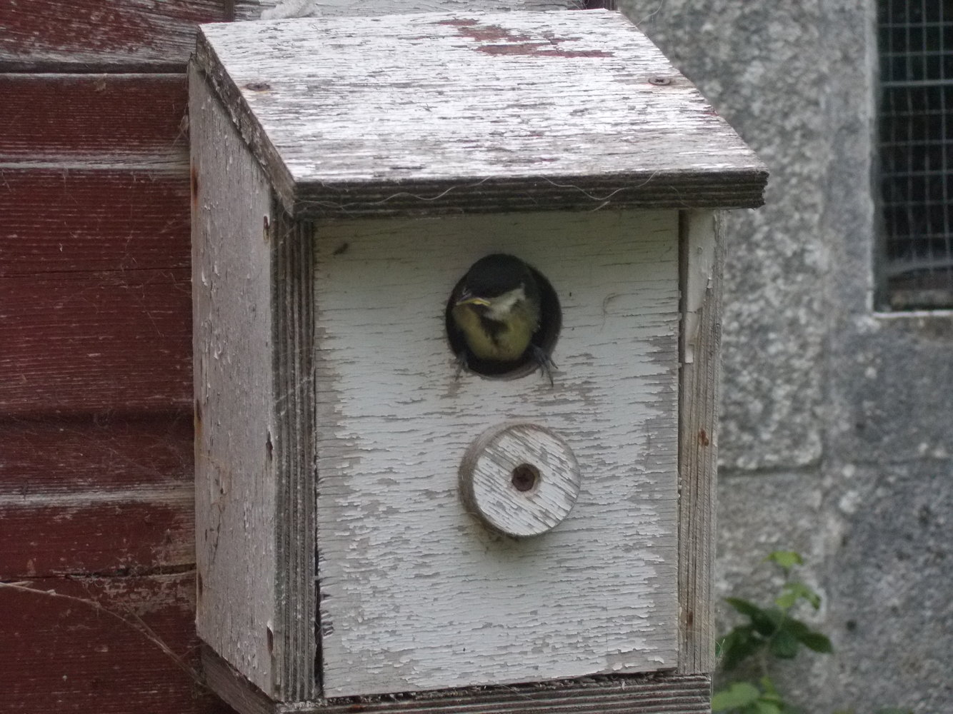DSCN0847.JPG