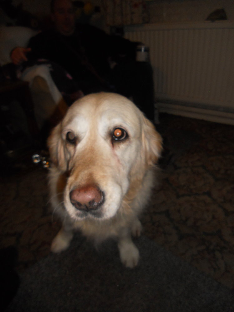 DSCN1892.JPG