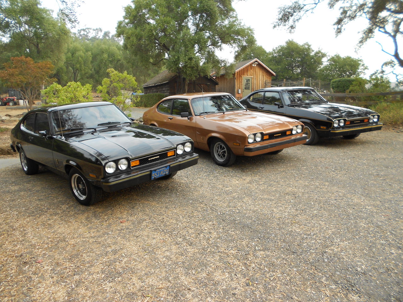 DSCN1965.jpg