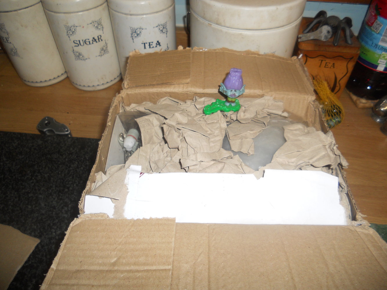 DSCN2416.JPG