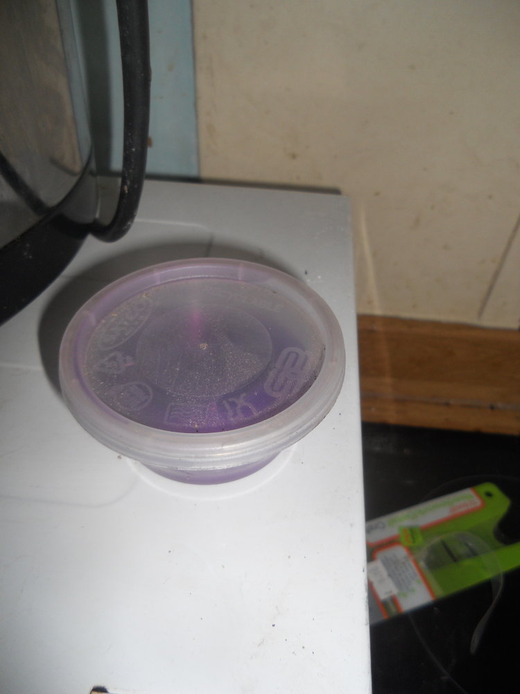 DSCN2543.JPG
