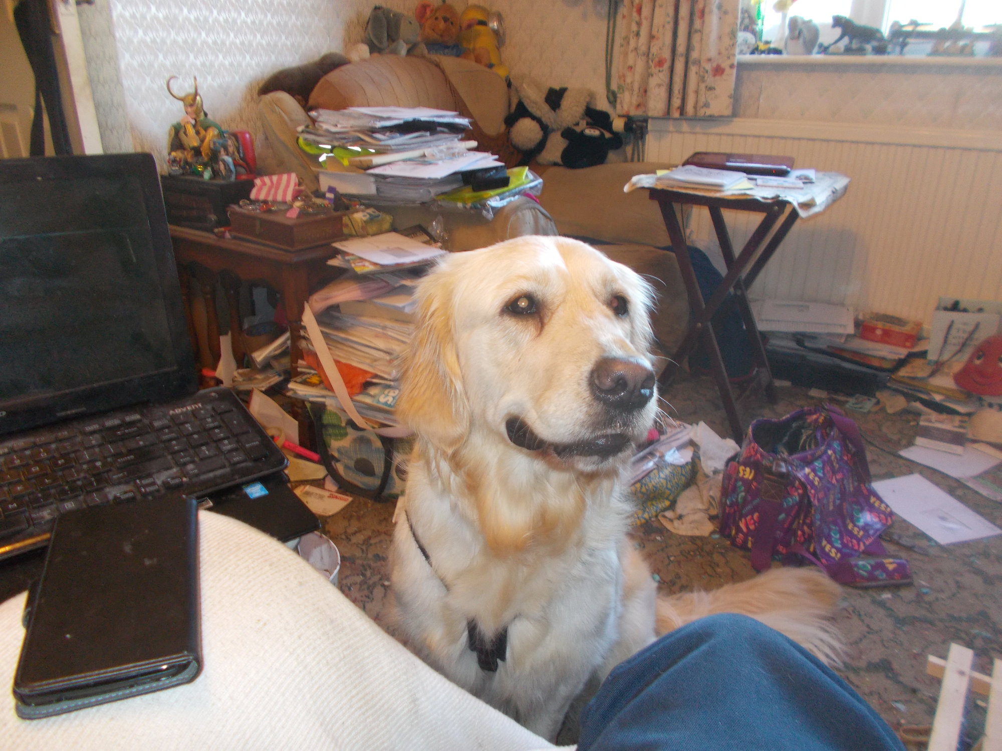 DSCN2921.JPG