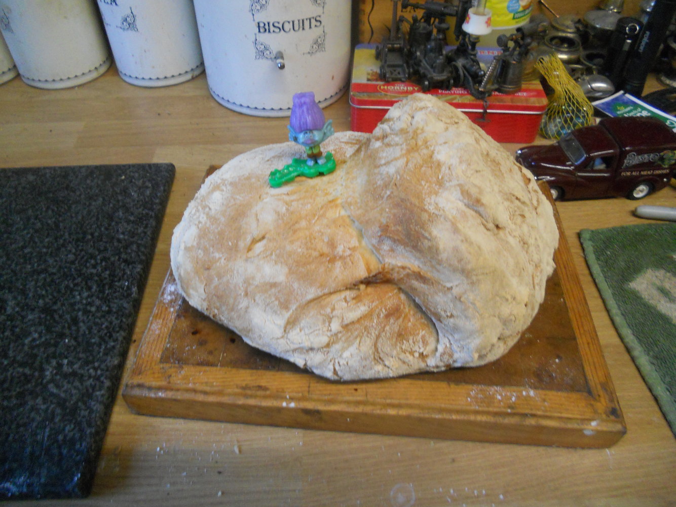 DSCN2943.JPG