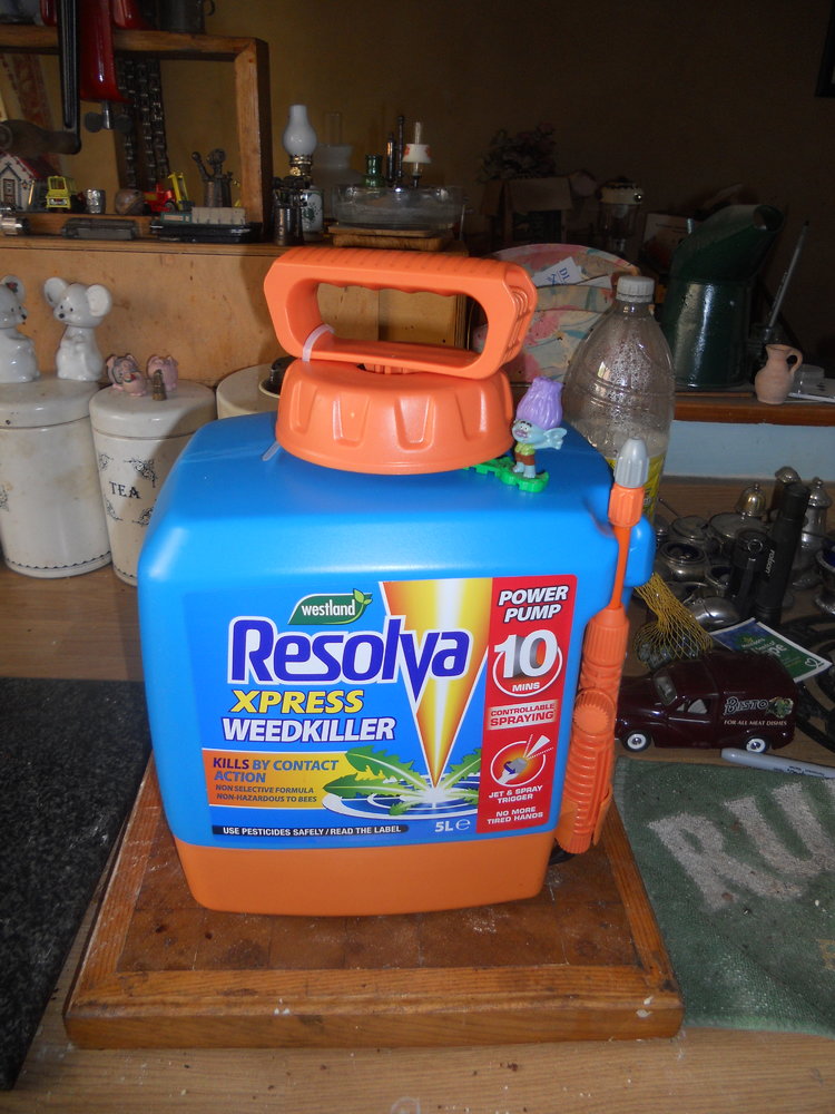 DSCN3002.JPG