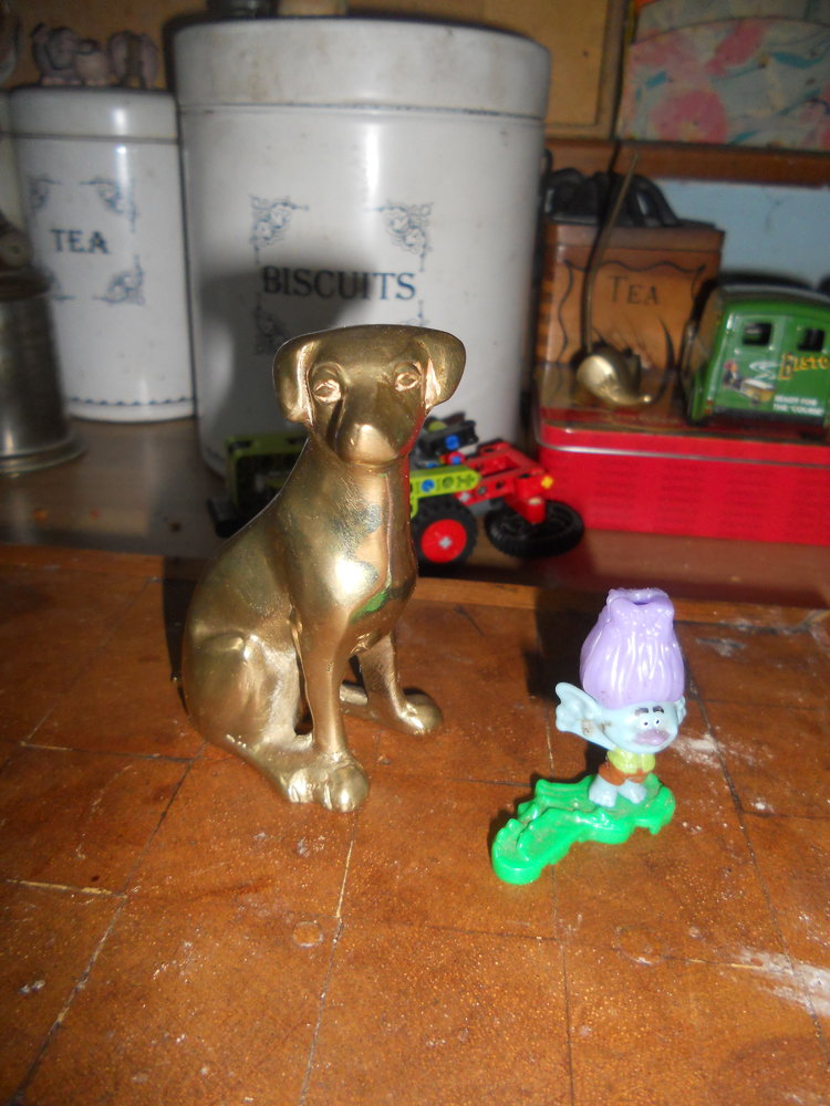DSCN3101.JPG