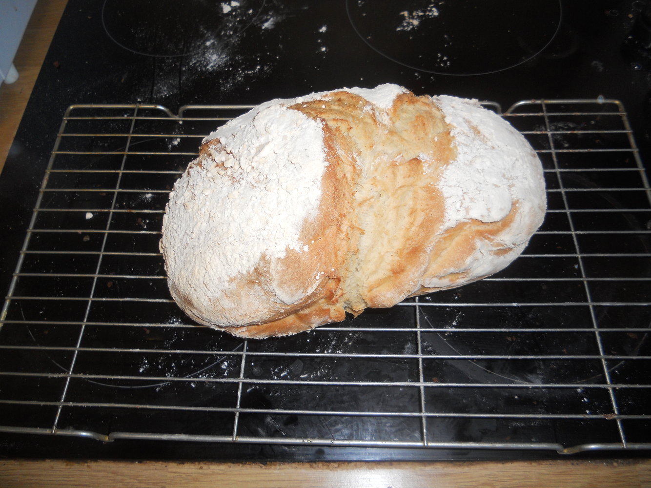 DSCN3198.JPG