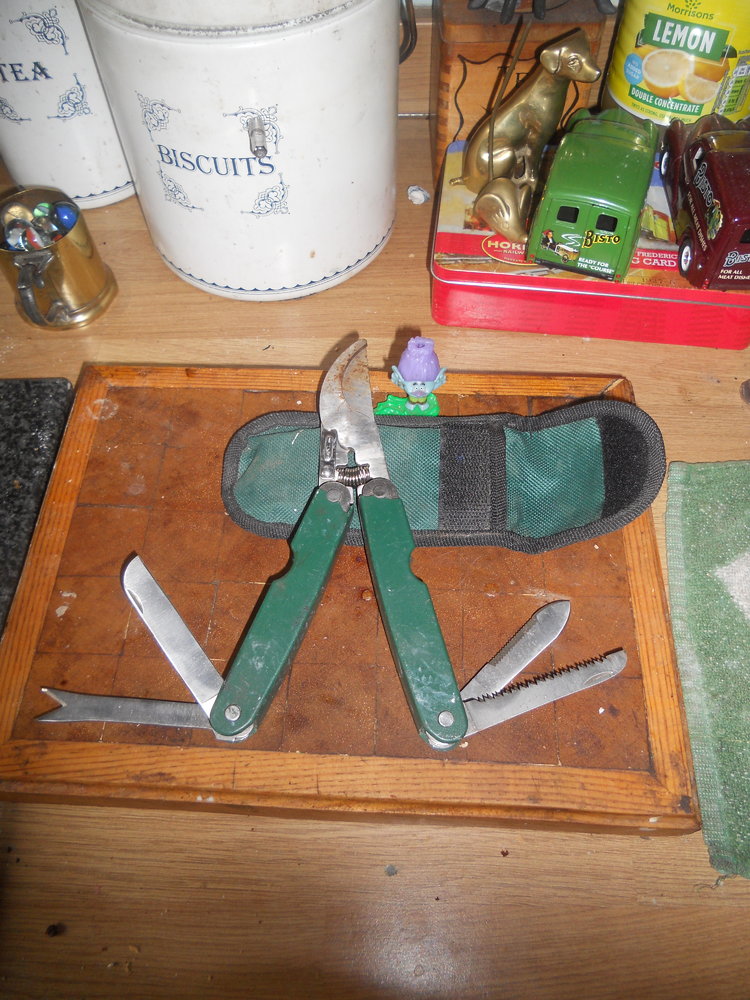 DSCN3238.JPG