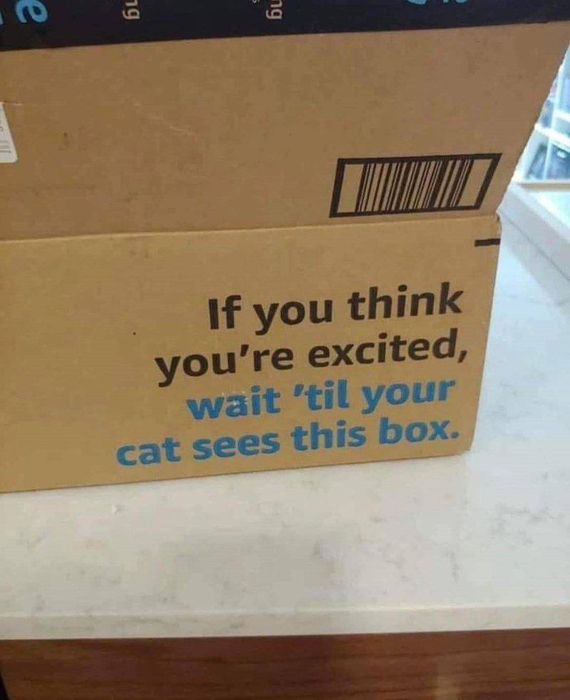 e-ng-ng-if-think-excited-wait-til-cat-sees-this-box.jpeg