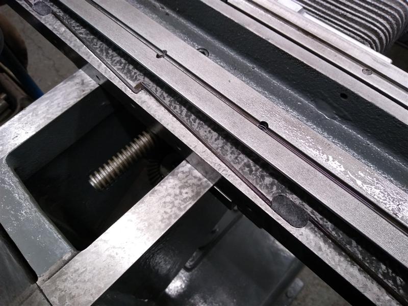 Eagle felts 1.jpg