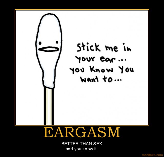 eargasm-better-than-sex-assignment-demotivational-poster-1268377431.jpg