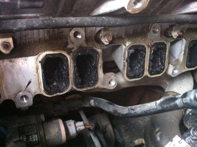 egr_zpse61f5d8e.jpg