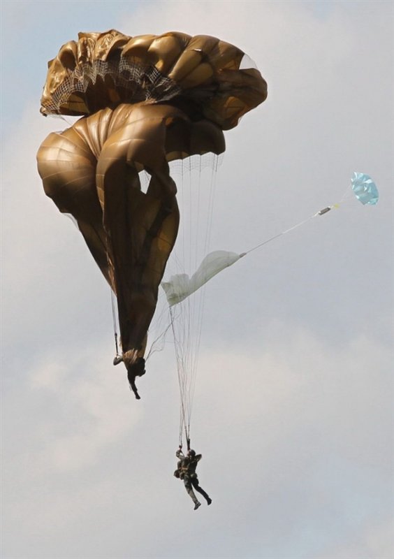 entanglement 2.jpg