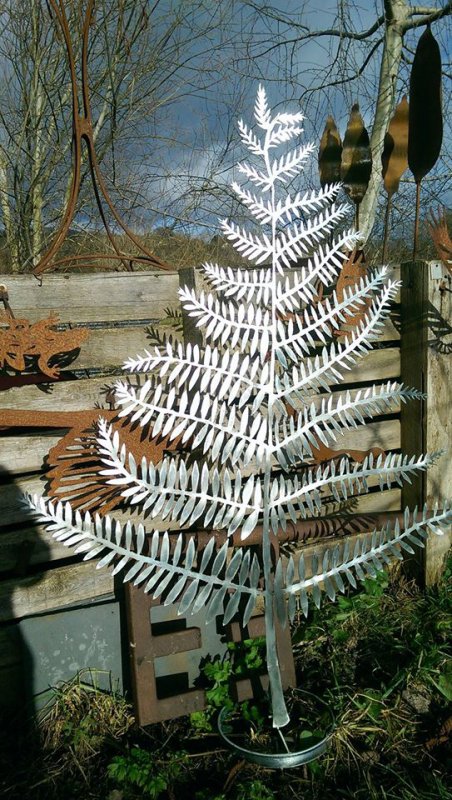 fern-in-sun-jpg.59139.jpg
