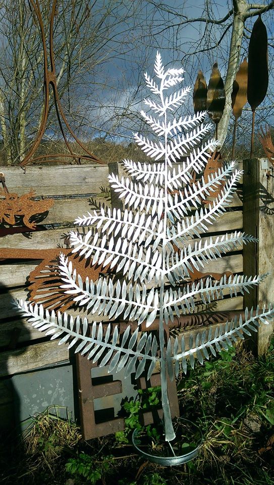 fern in sun.jpg