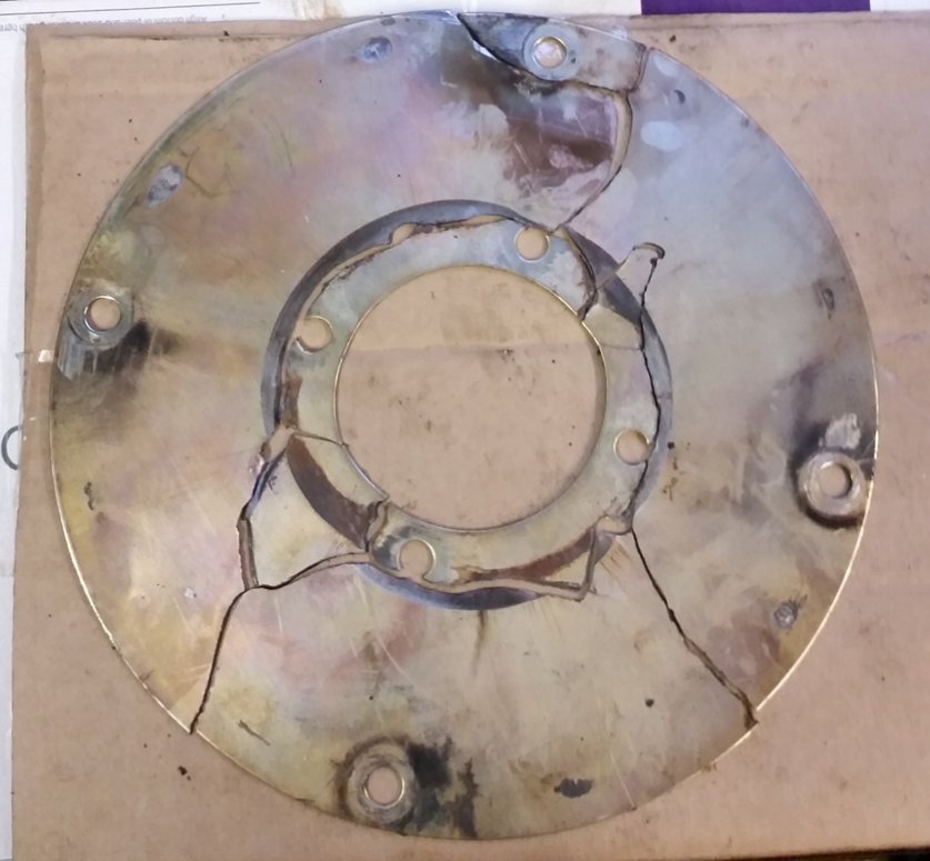 flex plate.jpg
