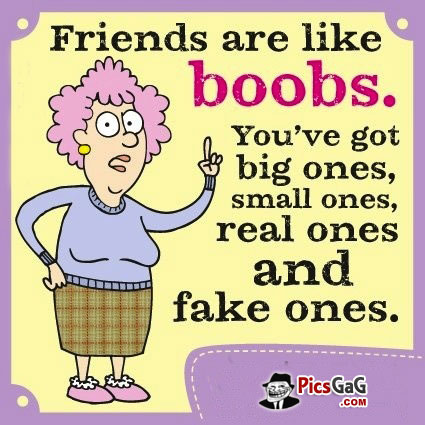friends-are-like-boobs-funny-quote.jpg