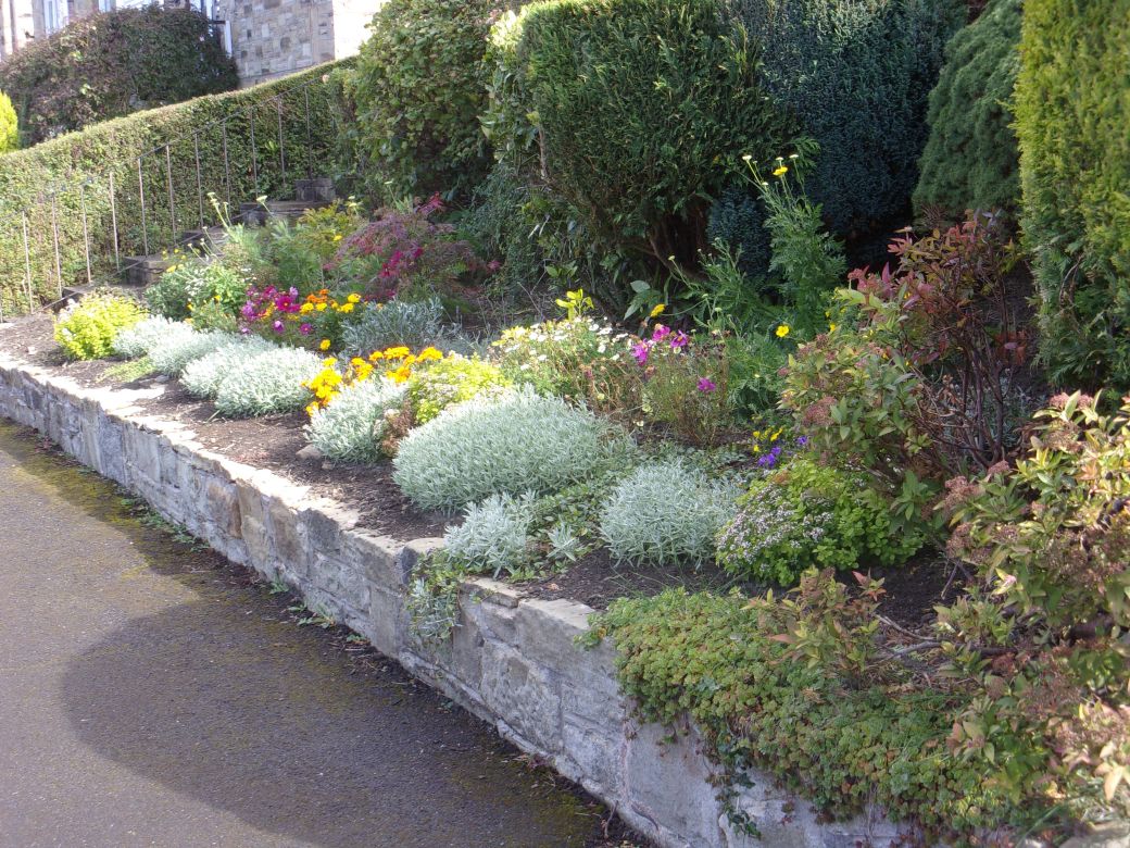 Front Garden (1).JPG