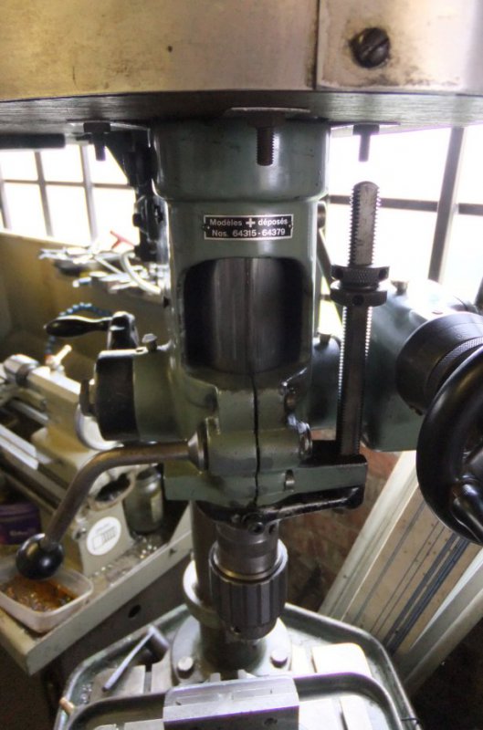 Front view of head 2.jpg