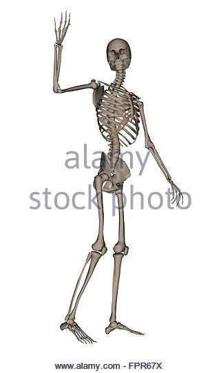 front-view-of-human-skeleton-waving-goodbye-isolated-on-white-background-fpr67x.jpg