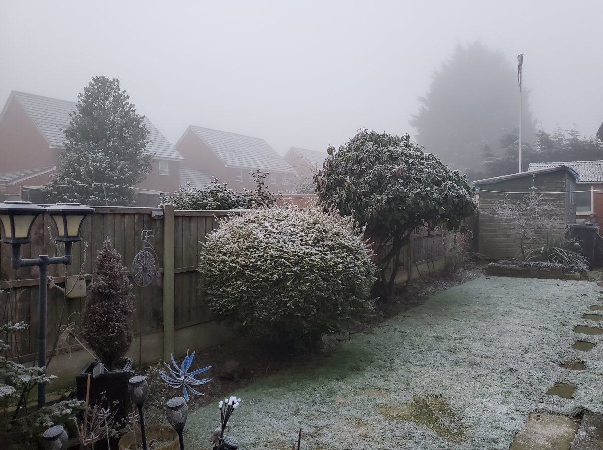 Frosty_1.jpg