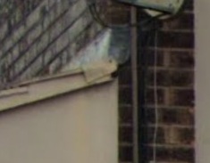 Garage roof2.jpg