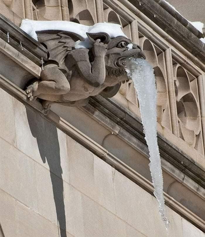 Gargoyle - 11.jpg
