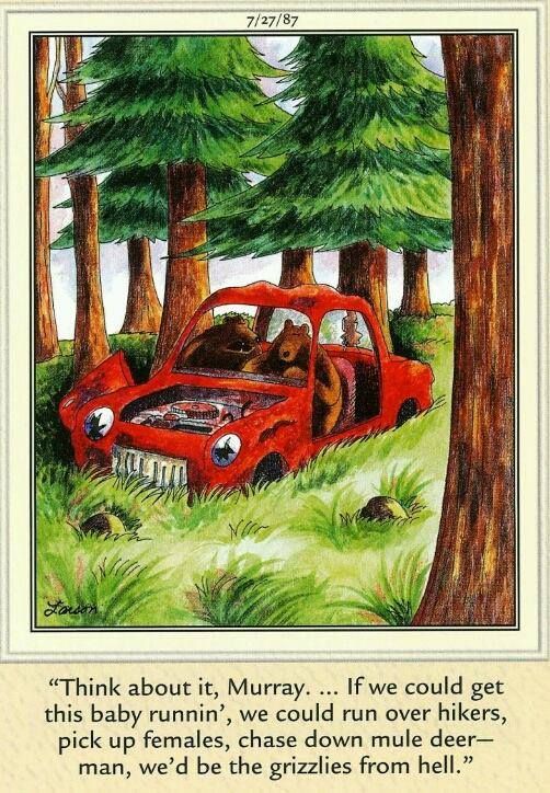 GaryLarson-bears in car.jpg