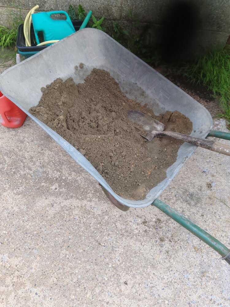 Gate post 4 cement.jpg