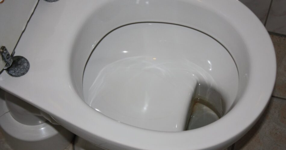 german-shelf-****ter-toilet-950x500-2425107063.jpeg