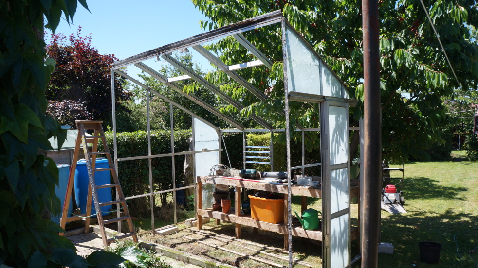 greenhouse normal20.JPG
