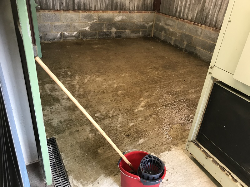 Half-Floor-Sealed.jpg