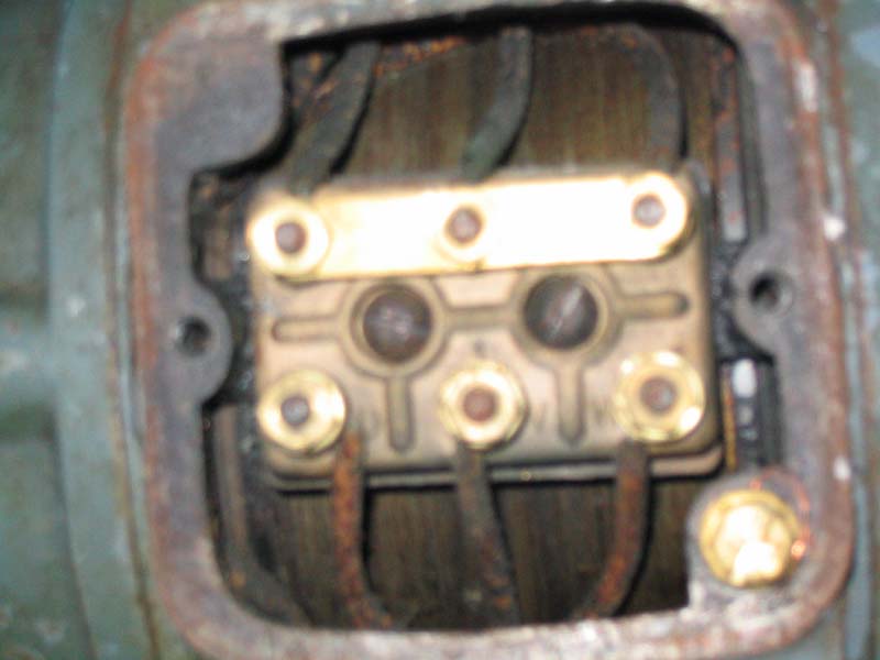 Hauser motor.jpg