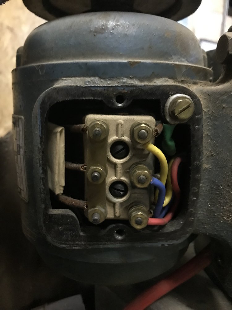 Hauser1.jpg
