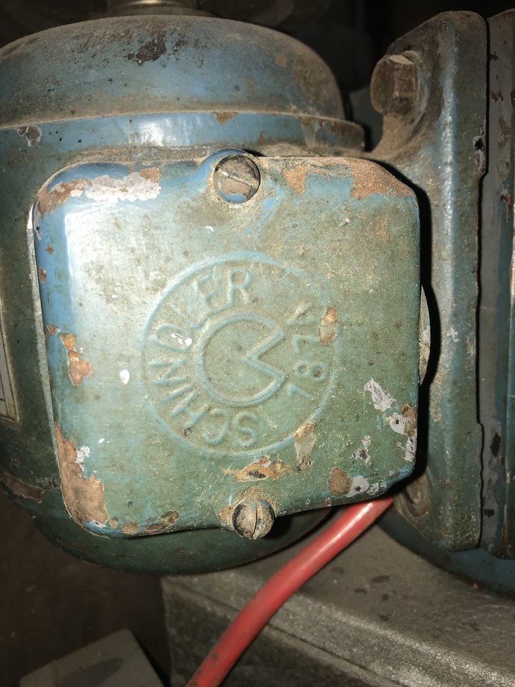 Hauser3.jpg