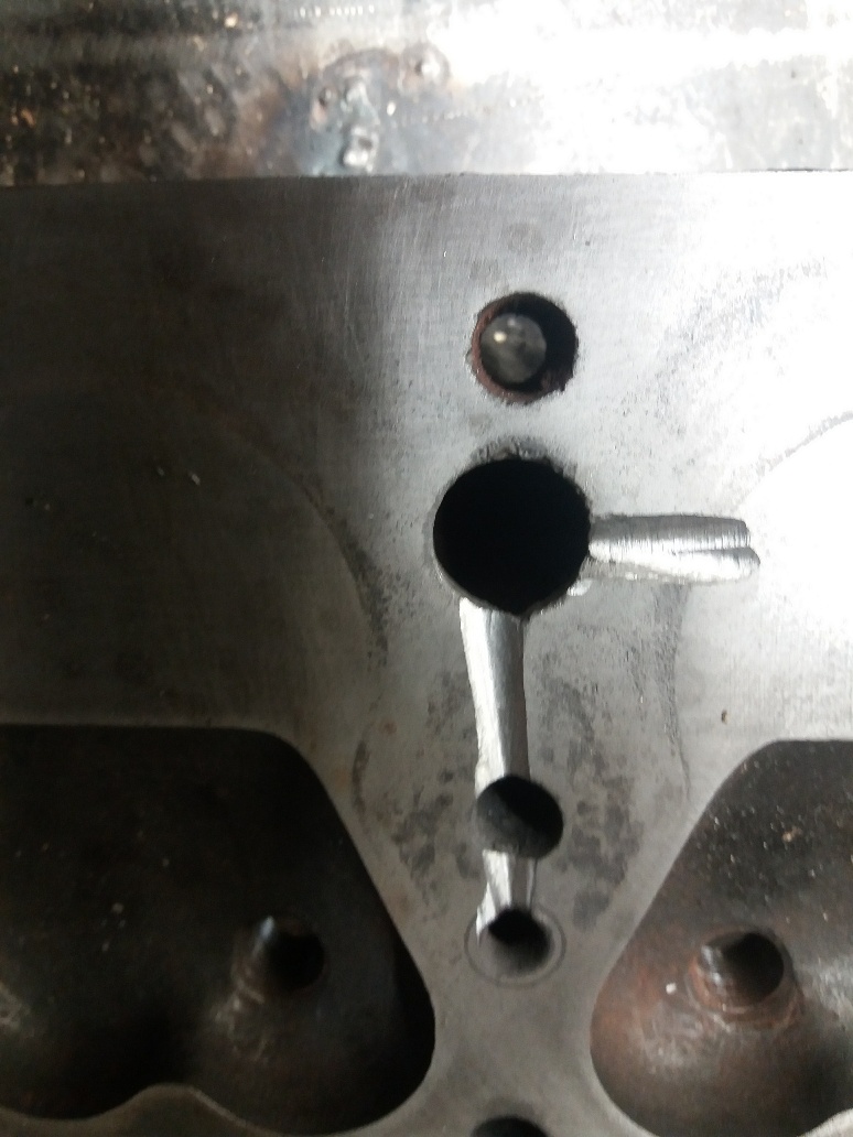 HEAD2.jpg