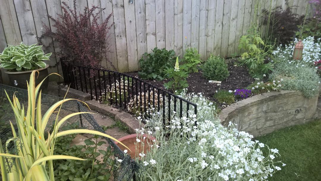 Hedgehog fence.jpg