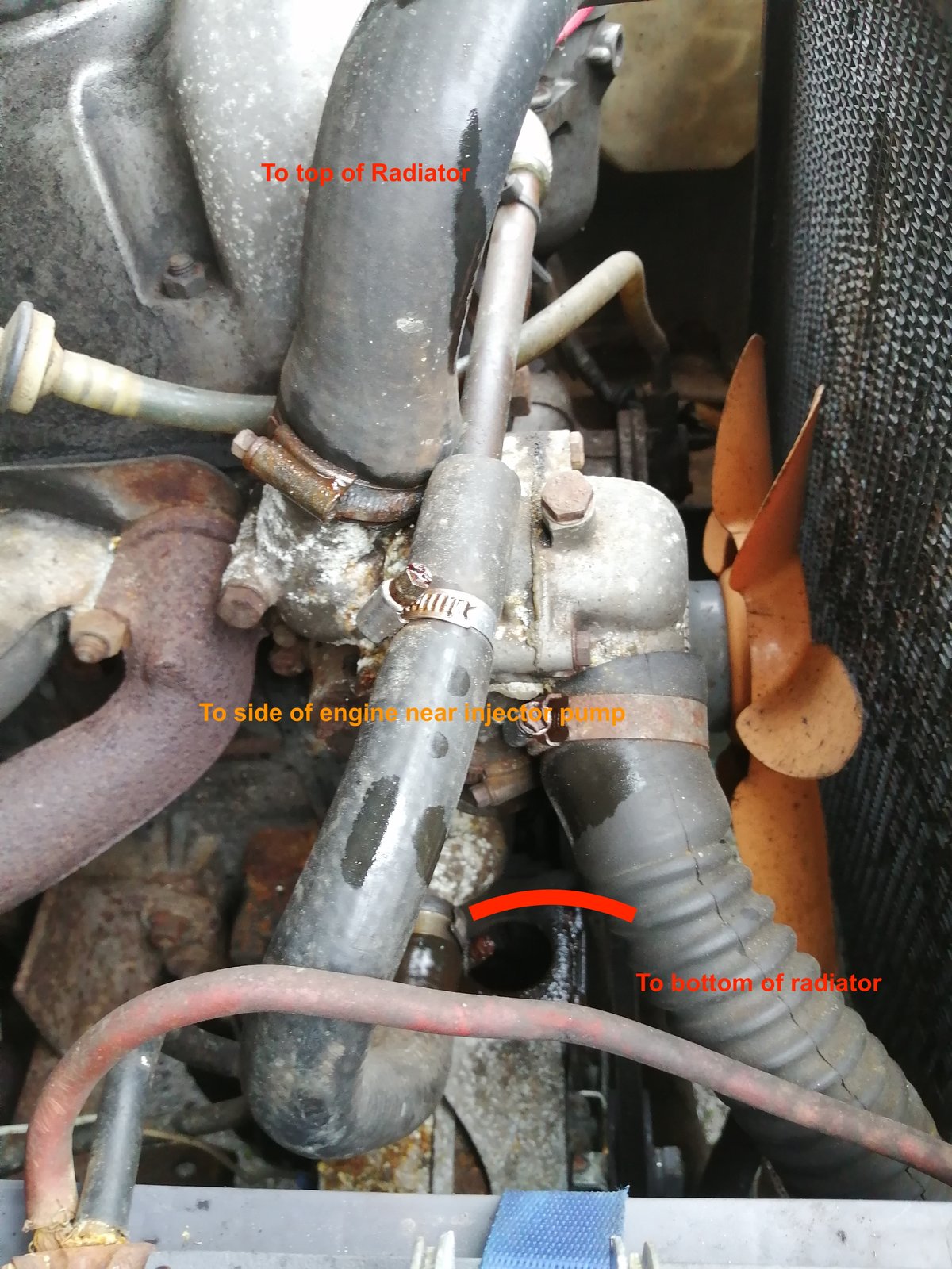 Hose lay out copy.jpg