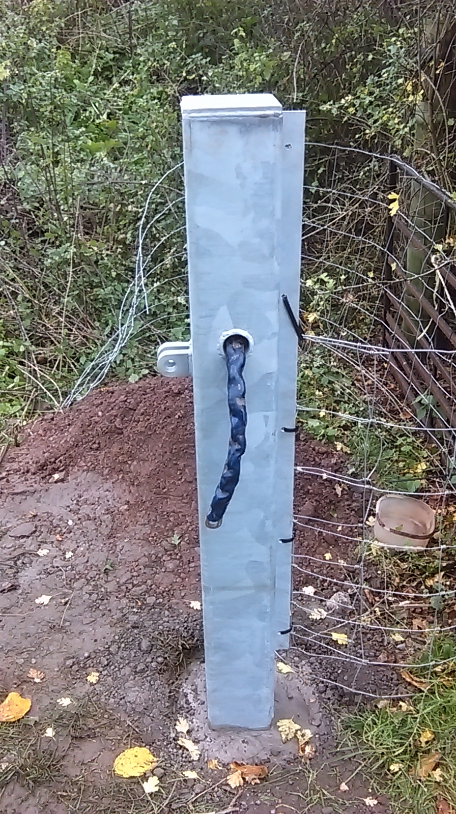 IMAG0061.jpg
