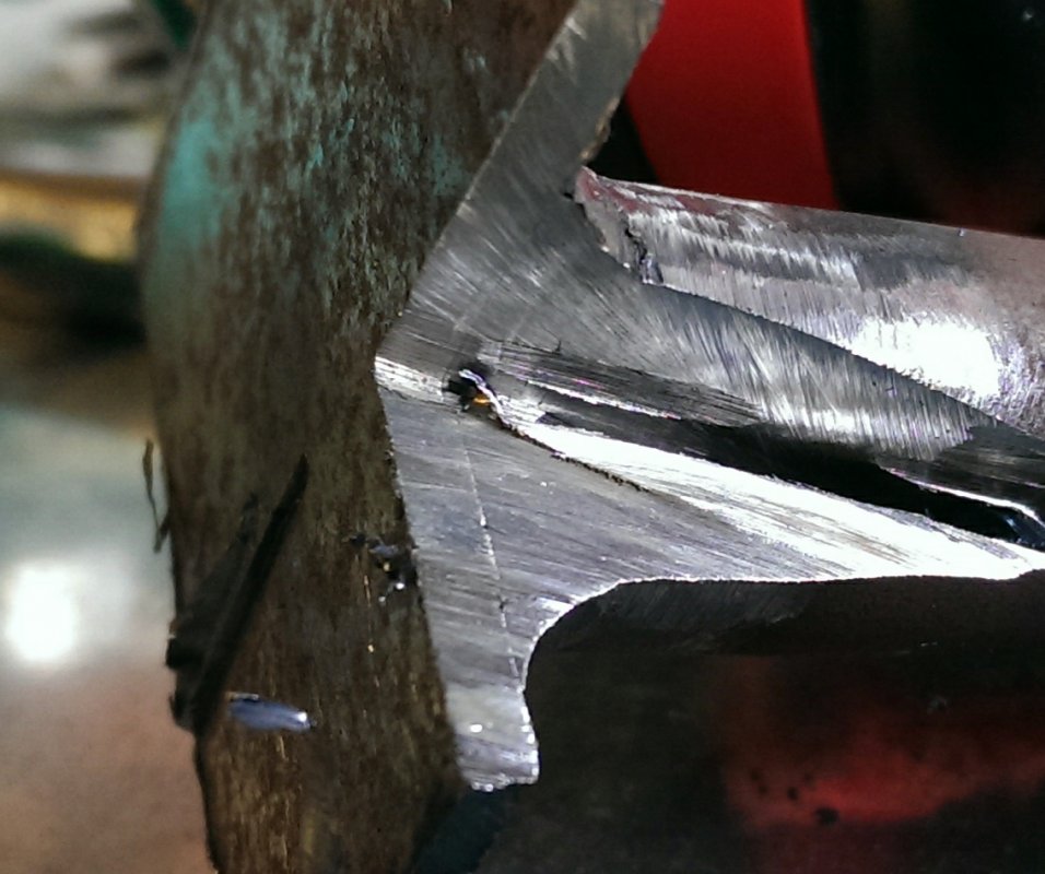 IMAG0095_1.jpg