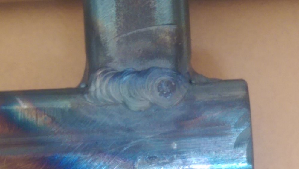 IMAG0113.jpg