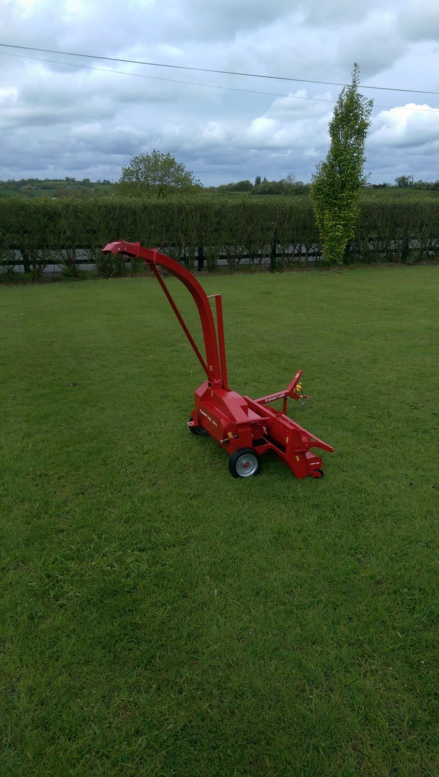 IMAG0167.jpg